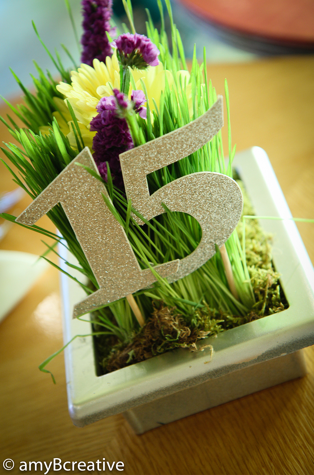 Wedding Ceremony and Reception